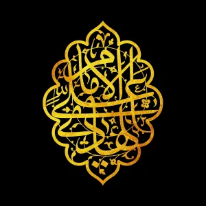 امام هادی علیه السلام امام هادی علیه السلام